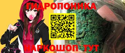 шишки Конаково