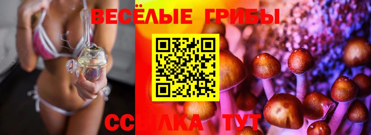 Псилоцибиновые грибы ЛСД  Вход с VPN  Арзамас 